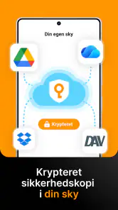 Adgangskodeadministrator: Safe screenshot