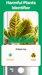 AI Plant Identifier & Care screenshot