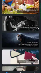Amenzi Ordine Publică screenshot