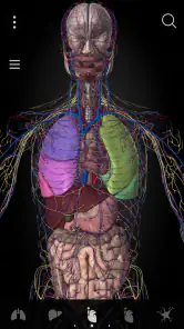 Anatomyka - 3D Anatomy Atlas screenshot