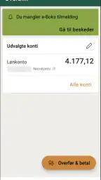 Andelskassen screenshot
