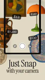 Antique Identifier Zophi screenshot