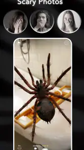 ARSpiders.com: Spider on Face screenshot
