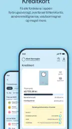Bank Norwegian screenshot