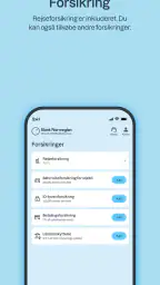 Bank Norwegian screenshot