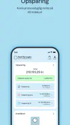 Bank Norwegian screenshot