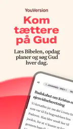 Bibelen + Lyd screenshot