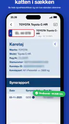 BilInfo – Tjek nummerplade screenshot