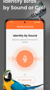 Bird Identification - Bird ID screenshot