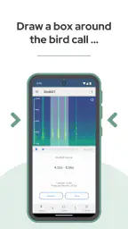 BirdNET screenshot