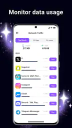 BlazeClean screenshot