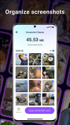 BlazeClean screenshot