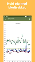 Blodtryksviser screenshot