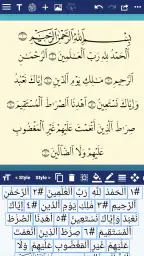 CalliPro screenshot