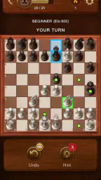 Chess Master: Board Game screenshot