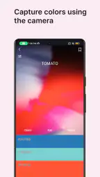 Color Wheel screenshot