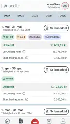 Danløn screenshot