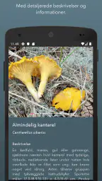 Danmarks svampeatlas screenshot