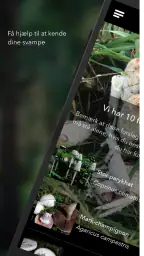 Danmarks svampeatlas screenshot