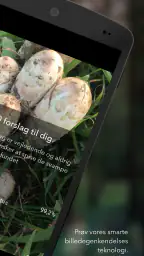 Danmarks svampeatlas screenshot