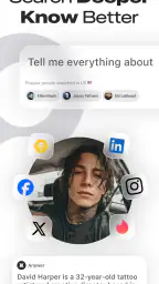Deepsearch AI Search Assistant screenshot