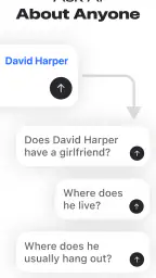 Deepsearch AI Search Assistant screenshot