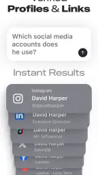 Deepsearch AI Search Assistant screenshot