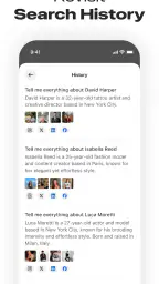 Deepsearch AI Search Assistant screenshot