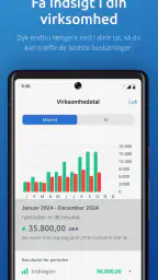 Dinero screenshot