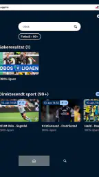 Direktesport screenshot