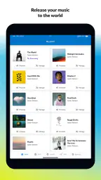 DistroKid screenshot