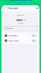 Divvy screenshot