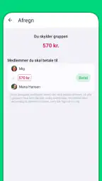 Divvy screenshot