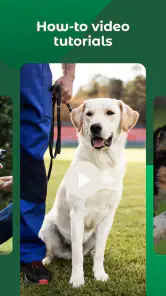 Dogo — Hvalpe- og Hundetræning screenshot