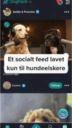 DogPack: Hundeparker & Mere screenshot