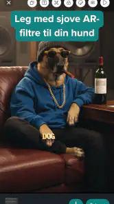 DogPack: Hundeparker & Mere screenshot