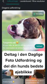 DogPack: Hundeparker & Mere screenshot
