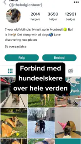 DogPack: Hundeparker & Mere screenshot