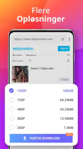 Downloadprogram screenshot