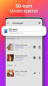 Downloadprogram screenshot