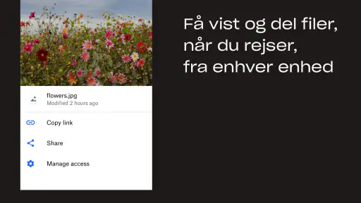 Dropbox: Lagerplads i skyen screenshot