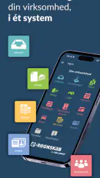 e-Regnskab screenshot