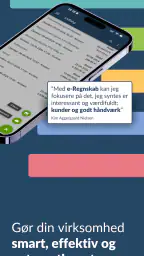 e-Regnskab screenshot