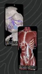 Easy Anatomy 3D screenshot