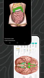 Easy Anatomy 3D screenshot