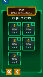 Einstein's Riddle Logic Puzzle screenshot