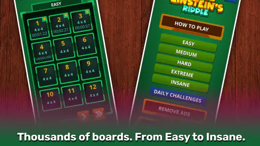 Einstein's Riddle Logic Puzzle screenshot