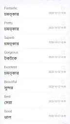 English Bangla Dictionary screenshot