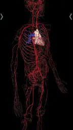 Essential Anatomy 5 screenshot