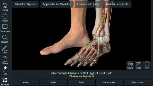 Essential Anatomy 5 screenshot